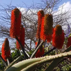 Saldanha Bay - Vredenburg
