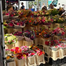 Vredenburg Market - Vredenburg