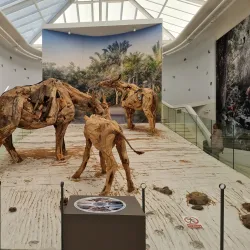 West Coast Fossil Park - Vredenburg