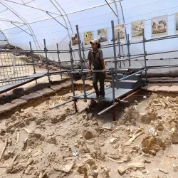 West Coast Fossil Park - Vredenburg