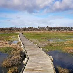 West Coast National Park - Vredenburg
