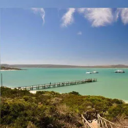 West Coast National Park - Vredenburg