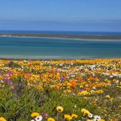 West Coast National Park - Vredenburg