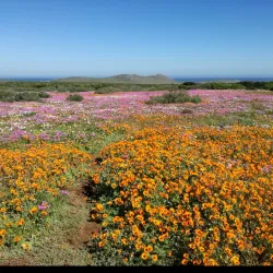 West Coast National Park - Vredenburg