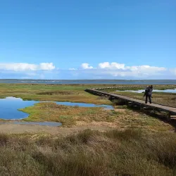 West Coast National Park - Vredenburg