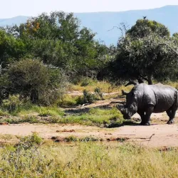 Hluhluwe-Imfolozi Park - Vryheid