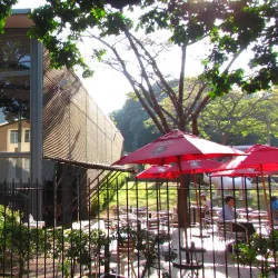 Local Art Galleries - Vryheid