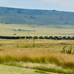 Ncome River - Vryheid