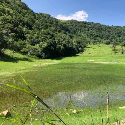 Vryheid Nature Reserve - Vryheid