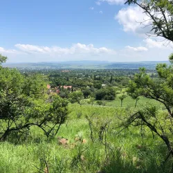 Vryheid Nature Reserve - Vryheid