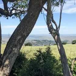 Vryheid Nature Reserve - Vryheid