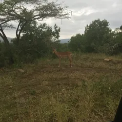 Vryheid Nature Reserve - Vryheid