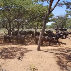 Bela-Bela (Warmbaths) - Waterberg