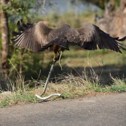 Bela-Bela (Warmbaths) - Waterberg
