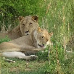 Bela-Bela (Warmbaths) - Waterberg