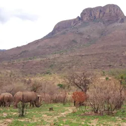 Marakele National Park - Waterberg