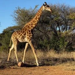 Marakele National Park - Waterberg