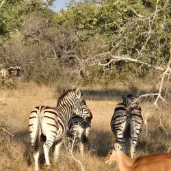 Mokolo Dam Nature Reserve - Waterberg
