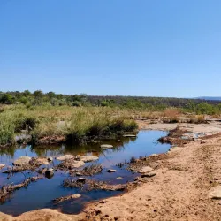 Mokolo Dam Nature Reserve - Waterberg