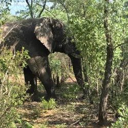 Mokolo Dam Nature Reserve - Waterberg