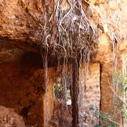 Mokopane Museum - Waterberg