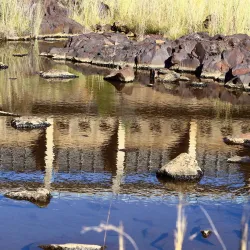 Mokopane Museum - Waterberg