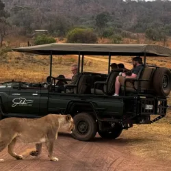 Welgevonden Game Reserve - Waterberg