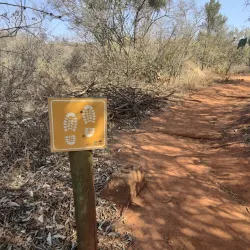 Kloofendal Nature Reserve - Westonaria