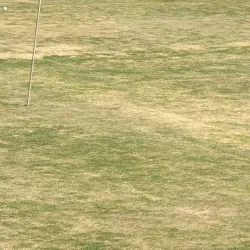 Westonaria Golf Club - Westonaria