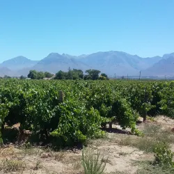 Breede River - Worcester