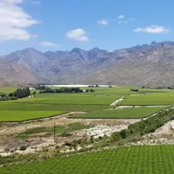 Breede River - Worcester