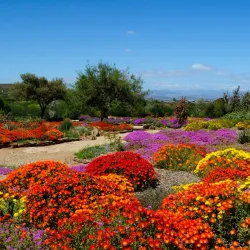 Karoo Desert National Botanical Garden - Worcester