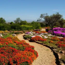 Karoo Desert National Botanical Garden - Worcester