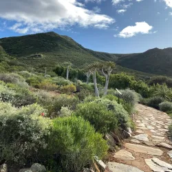 Karoo Desert National Botanical Garden - Worcester