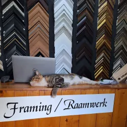 Worcester Art Gallery - Worcester