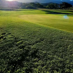 Worcester Golf Club - Worcester