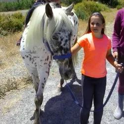 Worcester Market - Worcester