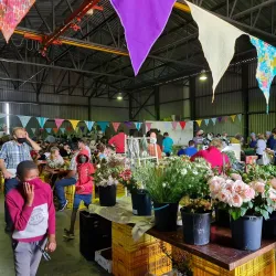 Worcester Market - Worcester