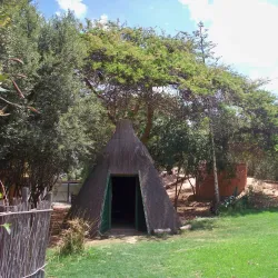 Worcester Museum - Worcester