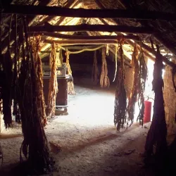 Worcester Museum - Worcester