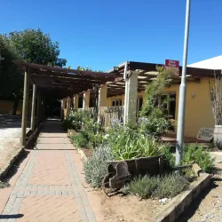 Worcester Museum - Worcester