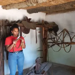 Worcester Museum - Worcester