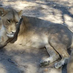 Worcester Nature Reserve - Worcester