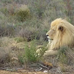 Worcester Nature Reserve - Worcester