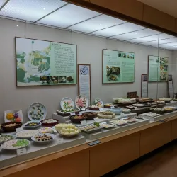 Andong Soju Museum - Andong