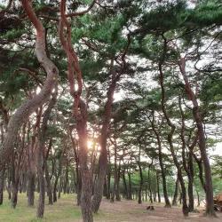Hahoe Folk Village - Andong