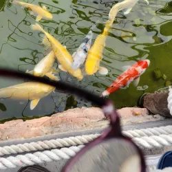 Ansan Botanical Garden - Ansan