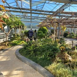 Ansan Botanical Garden - Ansan