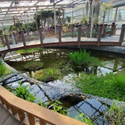 Ansan Botanical Garden - Ansan