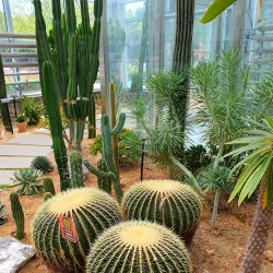 Ansan Botanical Garden - Ansan